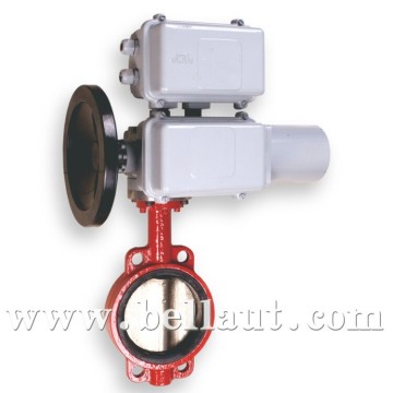 Motorized soft seat butterfly valve