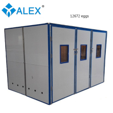 Large-Scale Fertilized Egg Incubators for Sale: Quail, Chicken, Ostrich, and Turkey Eggs