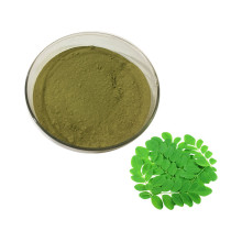 Supplement Bulk Powder moringa leaves extract