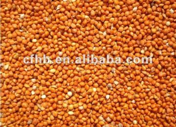 Red Millet