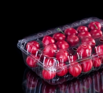 RPET plastic fruit preservation box wholesale