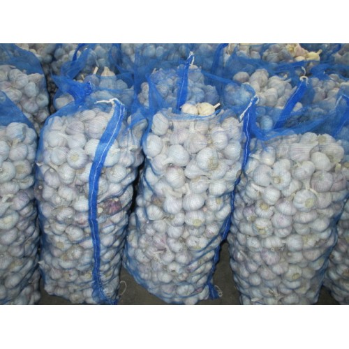 Cold Storage Fresh Normal White Garlic 2020
