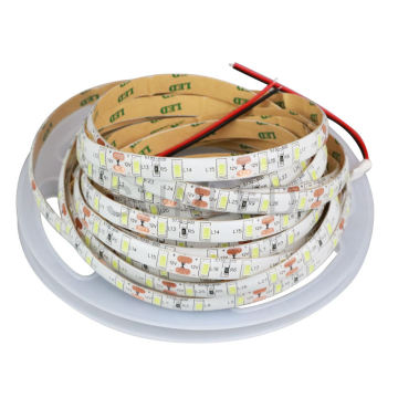 DC12V IP65 Waterproof LED Strip Lights for Christmas Decorations