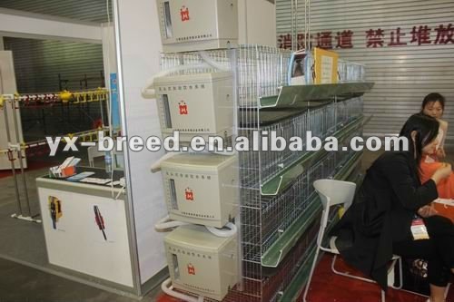 Design automatic poultry farming equipment,broiler cage