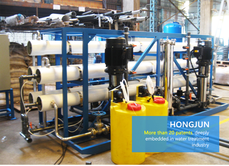 Double Pass RO system+EDI/ Water Treatment Device