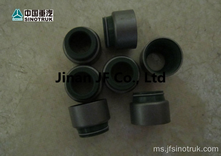 VG1246050027 61560040032 VG1560040032 Howo Oil seal