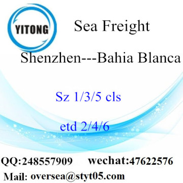 Consolidamento di LCL del porto di Shenzhen a Bahia Blanca