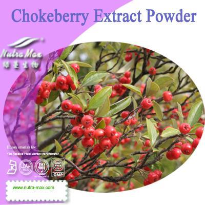 100% Natural Chokeberry Extract Powder (Anthocyanin 5%, 10%, 15%, 20%, 25%)