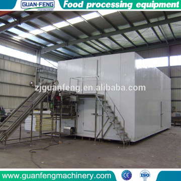 fluidized iqf Freeze Bean machine