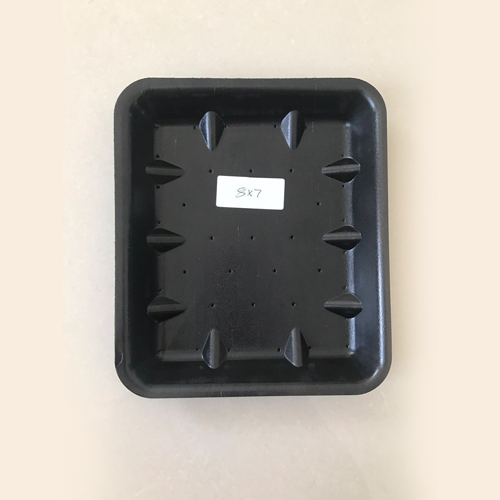 PS foam thermocol water absorption tray / plate /dish making machine