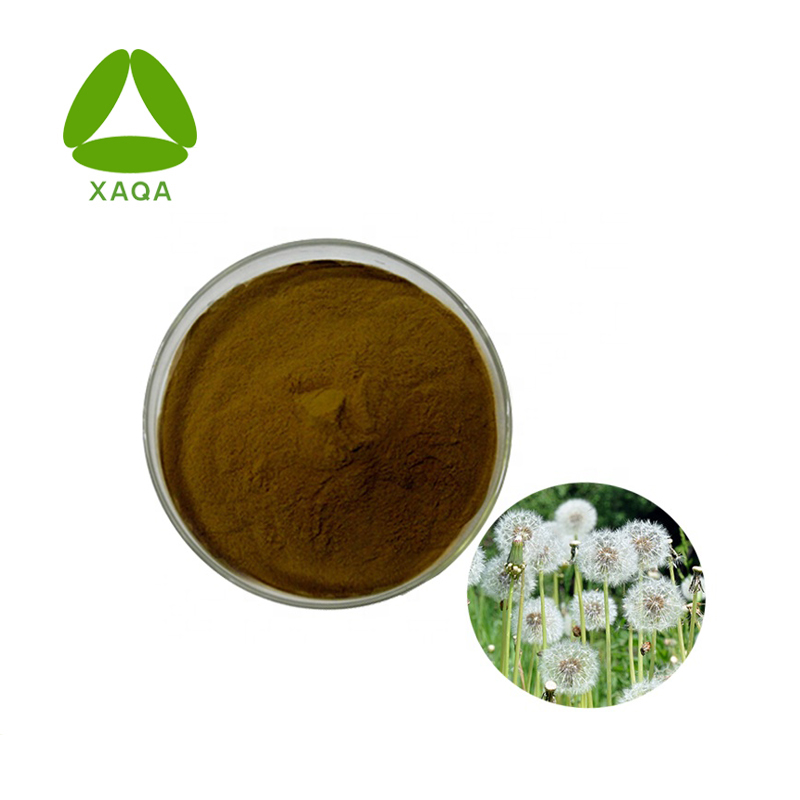 Dandelion Root Extract 