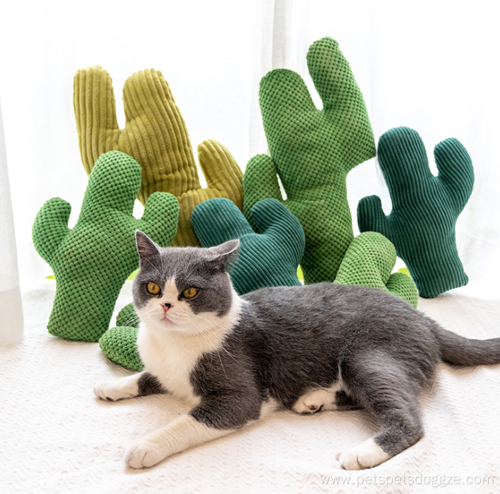 Interactive Cactus Shape Cat Toy with Catnip Inside