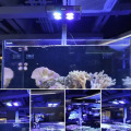 Sunrise Sunset Lights for Marine Aquarium Fish Tark