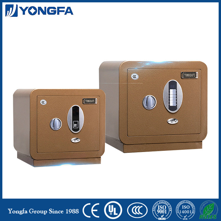 Fingerprint Safe Deposit Box