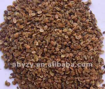 Fructus Cnidii Shechuangzi