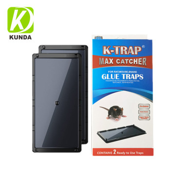 Plastic Tray Rat Glue Trap