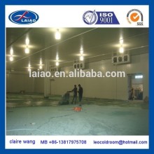 800T fruit and vegetable logistic cold room with humidifier 85% cold storages