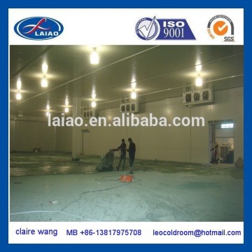 800T fruit and vegetable logistic cold room with humidifier 85% cold storages