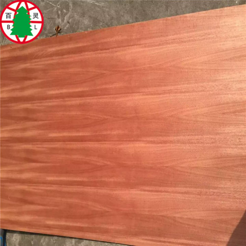 wood plywood 2018 customers best quality