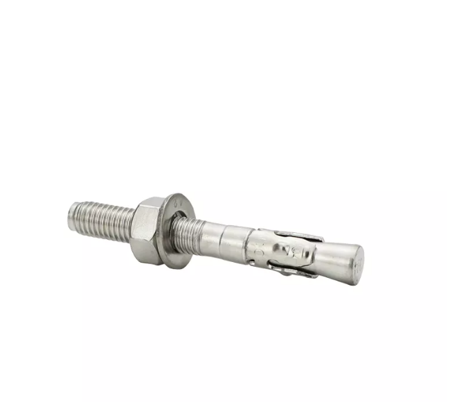 Stainless Steel Mechanical Anchor Bolt