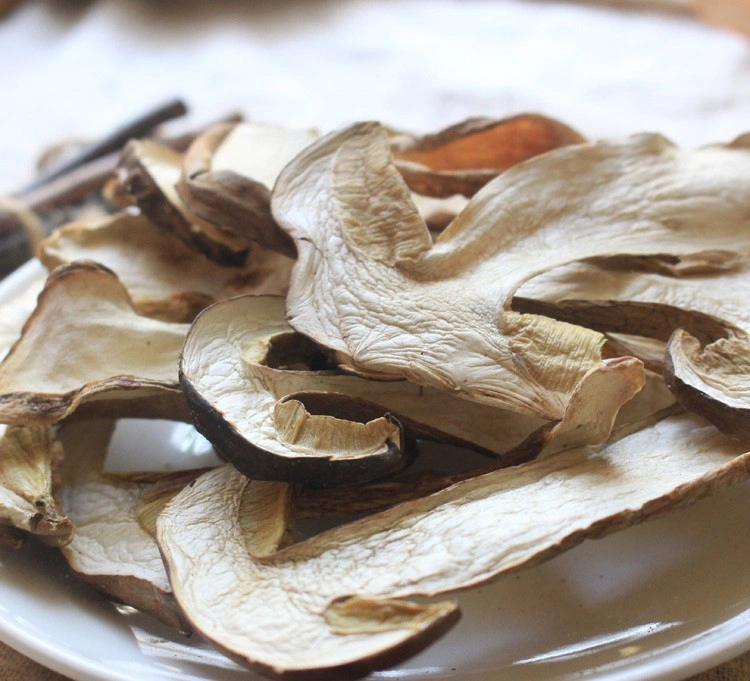 Dried Porcini Mushroom Slice Boletus Edulis