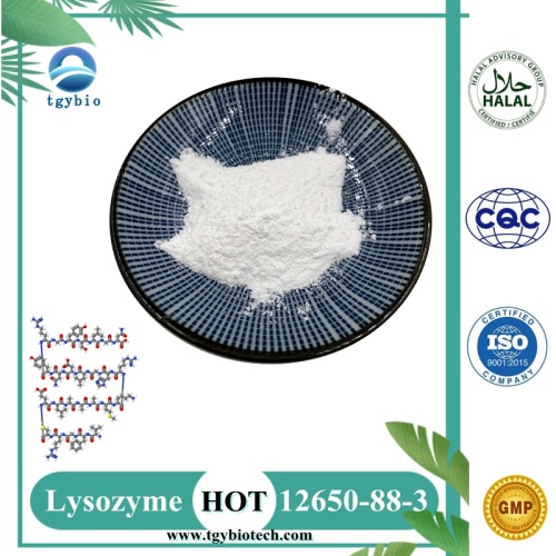 Food Grade Best Selling Enzyme Lysozyme Powder