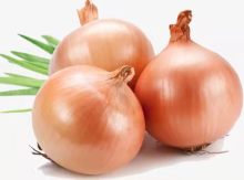 Fresh Yellow Onion with Cheap Price