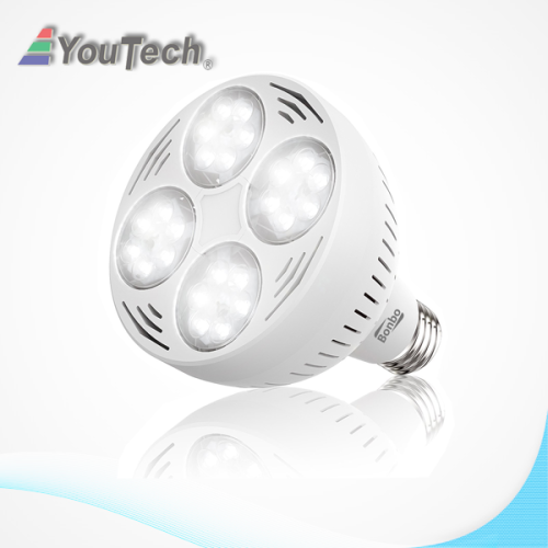 120V Daylight White Swimming Pool LED Light