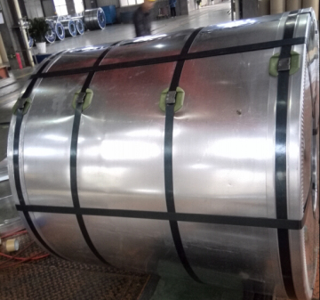 galvanized steel sheets in coil