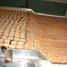 Dry Cake and Cake Rusk Making Machine - HYDG-800 1T/H Slice Cake Production Line