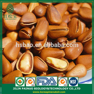 Wholesale New Arrival Organic Siberian Open Pine Nuts for Sale