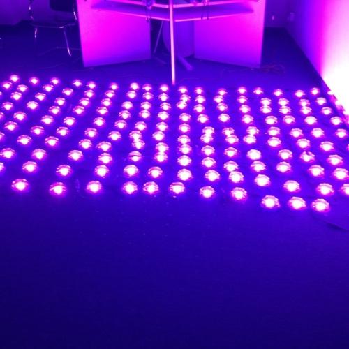 Chaîne lumineuse d&#39;étape de point de LED colorée