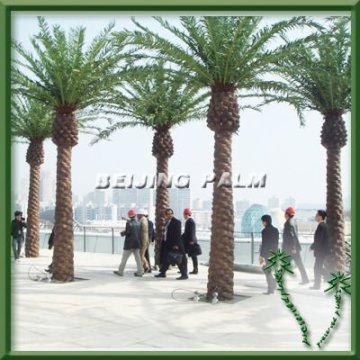 6m Artificial canary Palm Tree, date palm tree, palm tree