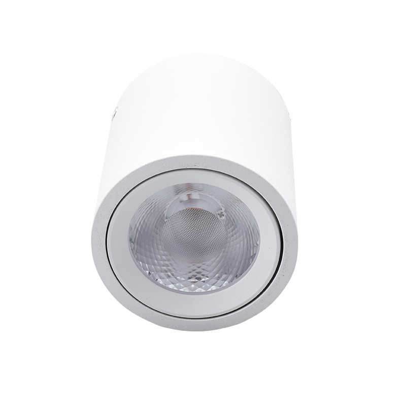 LED Downlight GU10 Ceiling Lamp