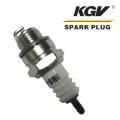 Small Engine Double Iridium Spark Plug D-CR6HIX.