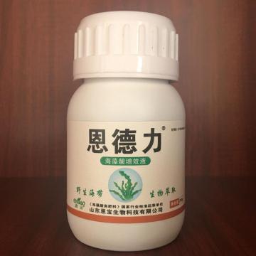 Organic Seaweed Extract Foliar Spray Fertilizer