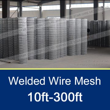 10ft-300ft Hot Dipped Galvanised Welded Wire Mesh Rolls