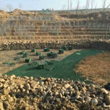 HDPE TURF العشب الاصطناعي القالب الشاحنة قالب القالب