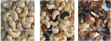 Cashew nuts color sorter/processing machine