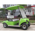 two seater 150cc gasoline golf cart for tourists