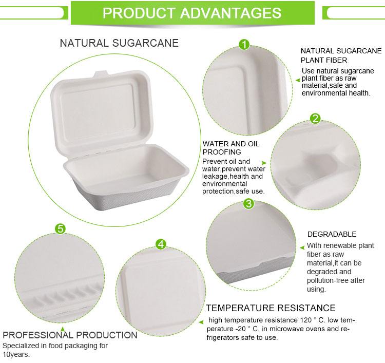 Two compartment bagasse compostable biodegradable packaging box