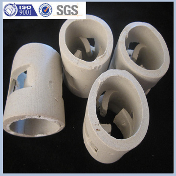 Ceramic Pall Ring for Scrubber Tower Manufacturer