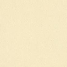 Semi-polished pure color tile