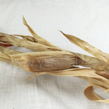 Hot sale customized artificial corn stalks for sale Fireproof artificial corn stalks for halloween