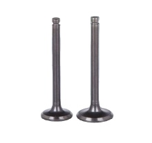 Hot Wholesale Decorative Hose Racing Seat Valves for GM Engines