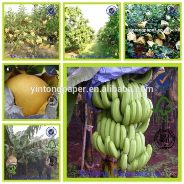 Water Proof Banana Growing bag, Banana growing paper bag, Banana bag