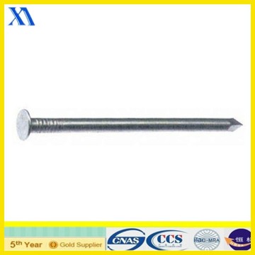 common wire nails common nails/wire nail machine/wire nails manufacture in china