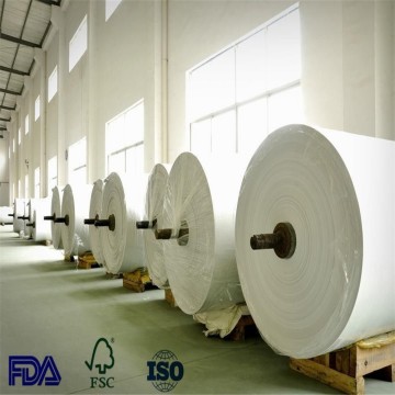 pe coated paper,single sided pe coated paper, pe coated paper price, pe coated paper roll