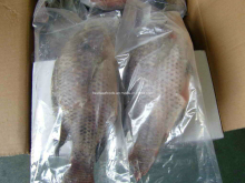 Gutted and Scaled Tilapia