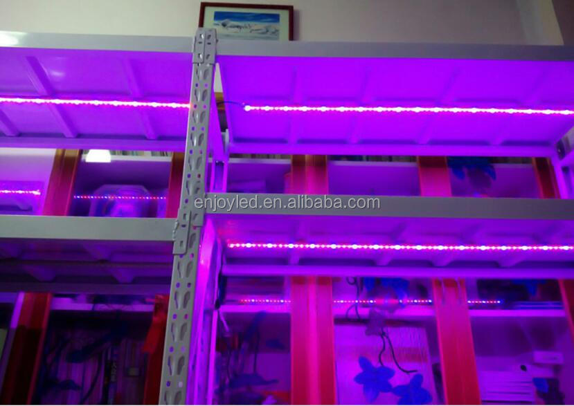 24 volt led grow strip light led strip hydroponic full spectrum led grow light